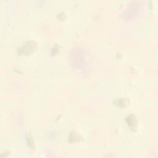 Акриловый камень Grandex Citron Blossom Акриловый камень Grandex Citron Blossom