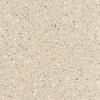 Corian Fossil